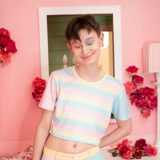 Pan Pride Crop Top